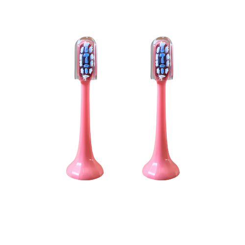 LED Toothbrush Replacement Heads (2x)